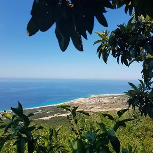 vila-jona-paljasa.albaniahotels.org/